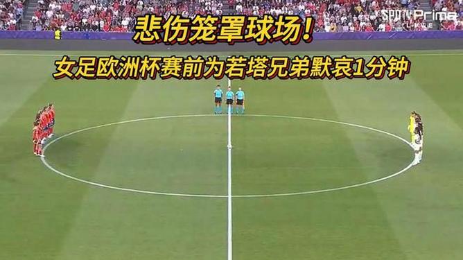 爱游戏体育官网-包含欧洲国家队友谊赛事中球员伤病情况曝光的词条