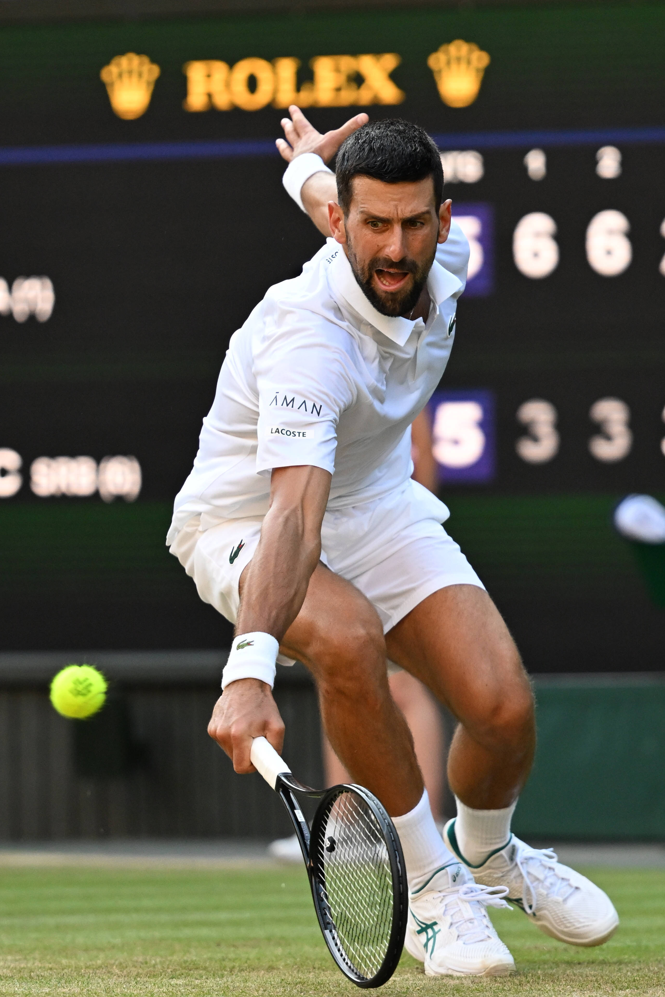 关于ATP总决赛轻取温网，辛纳统治全场的信息