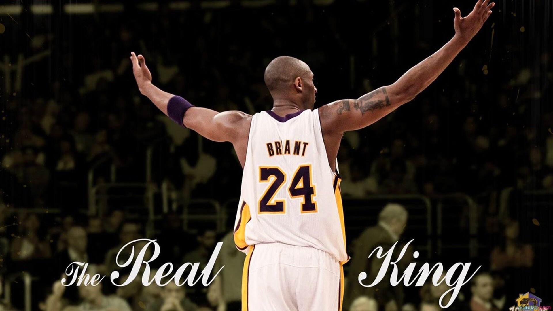 辽宁队对阵火箭,当东方铁骑遭遇美利坚重炮,伦纳德如何成为比赛唯一的标尺